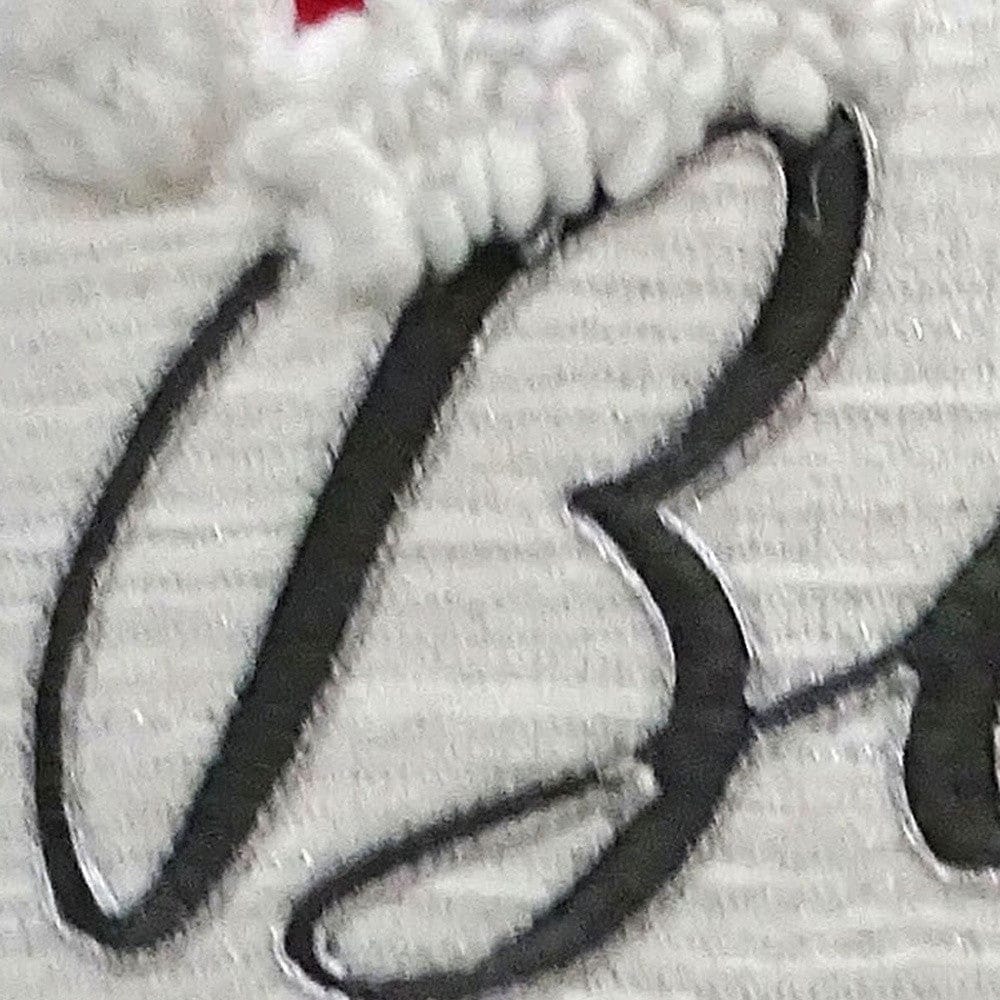 20" X 20" White Cotton Blend Believe Christmas Throw Pillow