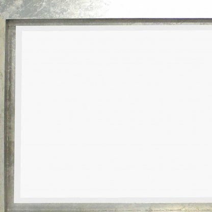 34 X 46 X 2.25 Silver Rectangular  Cosmetic Mirror