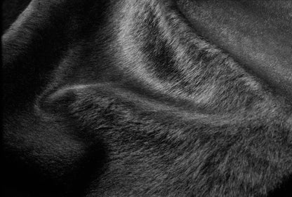 72" X 84" Black Cowhide - Rug