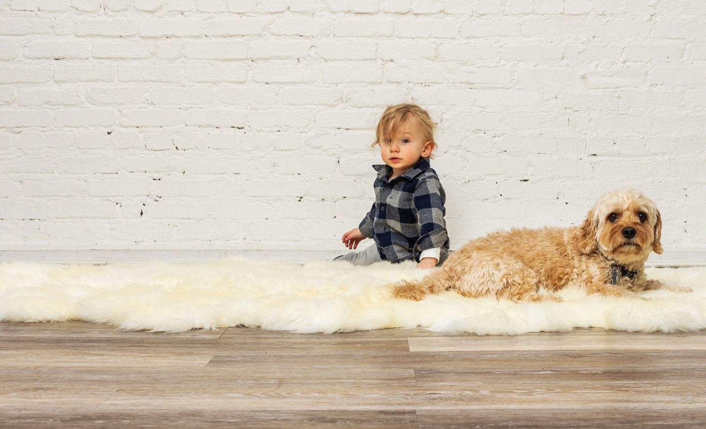 72" X 72" Natural Sheepskin Wool Area Rug