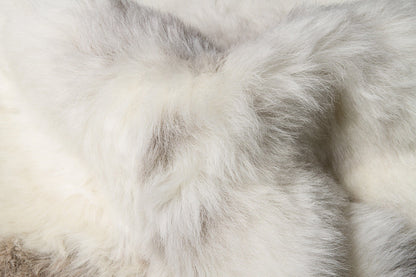 Spotted Animal Print Area Rug