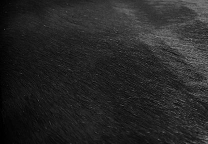 6 Ft Gold Devore Brindled Cowhide Rug