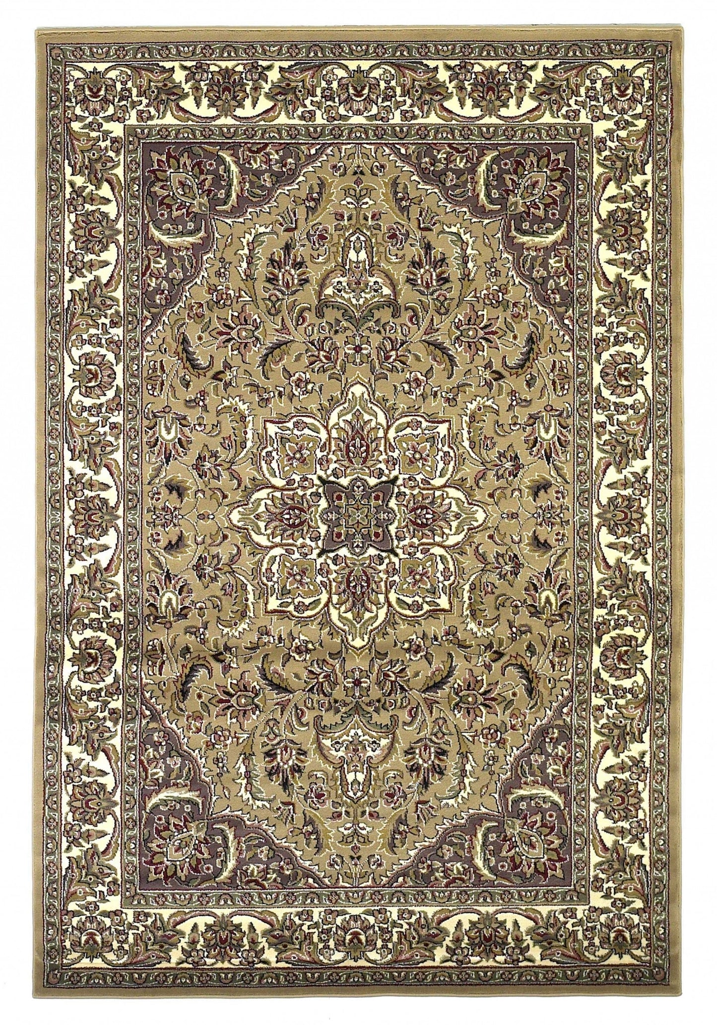 9' X 13'  Polypropylene Beige Or  Ivory  Area Rug