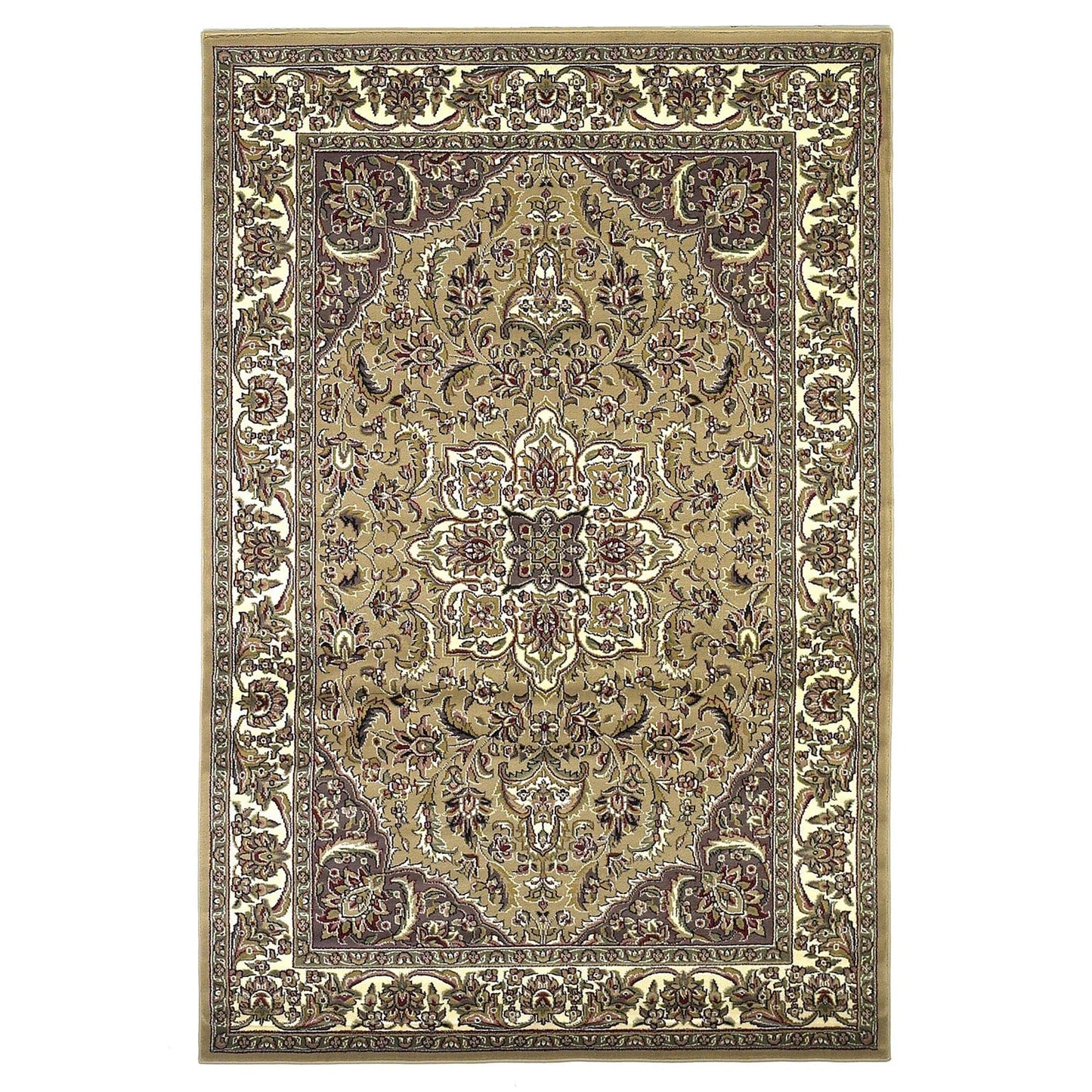 9' X 13'  Polypropylene Beige Or  Ivory  Area Rug