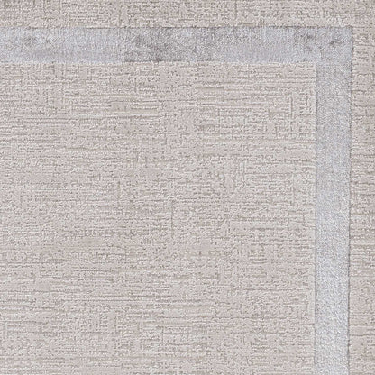 3'X5' Ivory Silver Machine Woven Bordered Indoor Area Rug