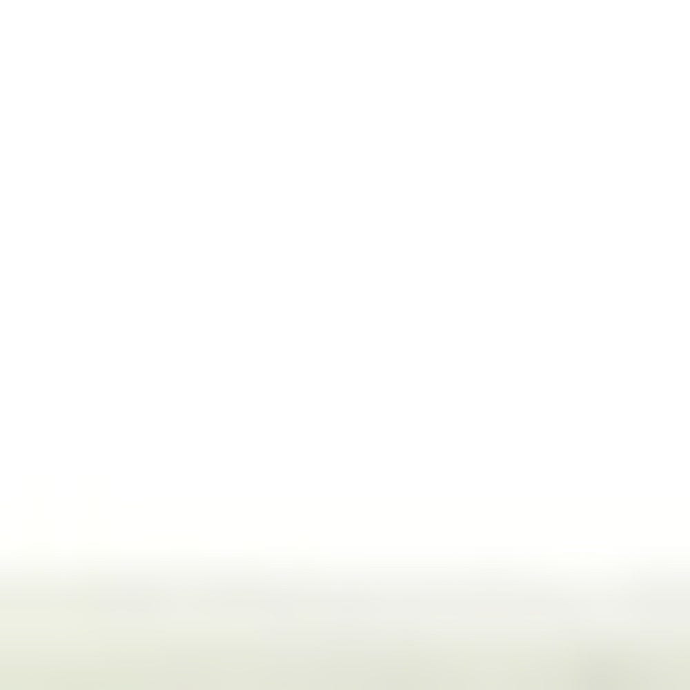 3' X 5' Ivory Floral Vines Area Rug