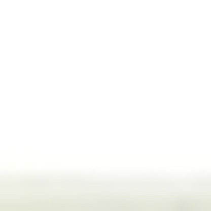 3' X 5' Ivory Floral Vines Area Rug