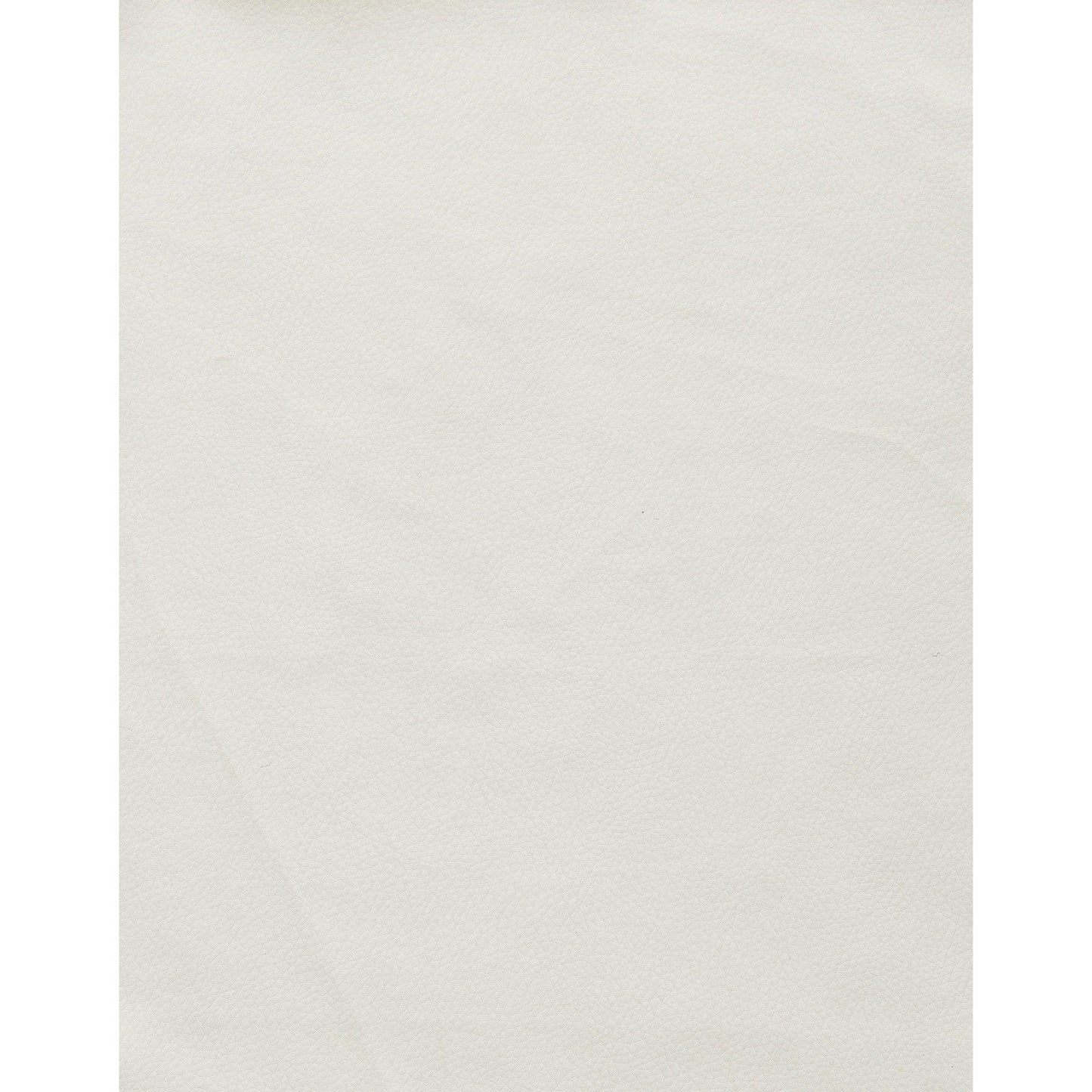 Set Of 2 Modern White Dining Chairs With Horse Shoe Style Metal Base