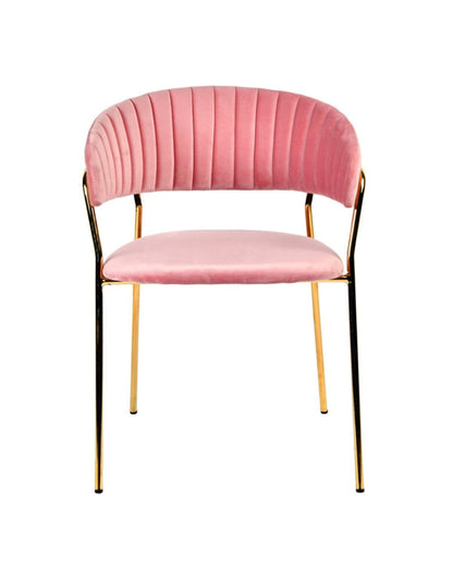 Set Of 2 Curved Chic Pink And Gold Velour Dining Chairs