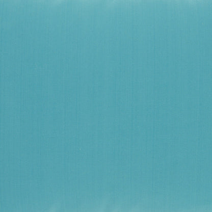 Light Blue Velour Throw Pillow