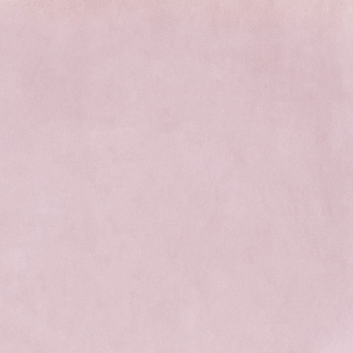 Set of Two Pale Pink and Gold Modern Pringle Dining Chairs