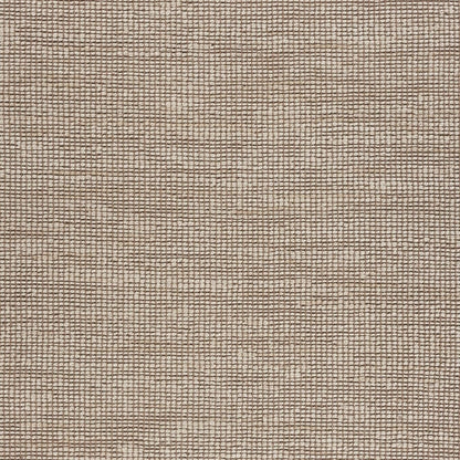 8’ x 10’ Tan and White Braid Border Area Rug