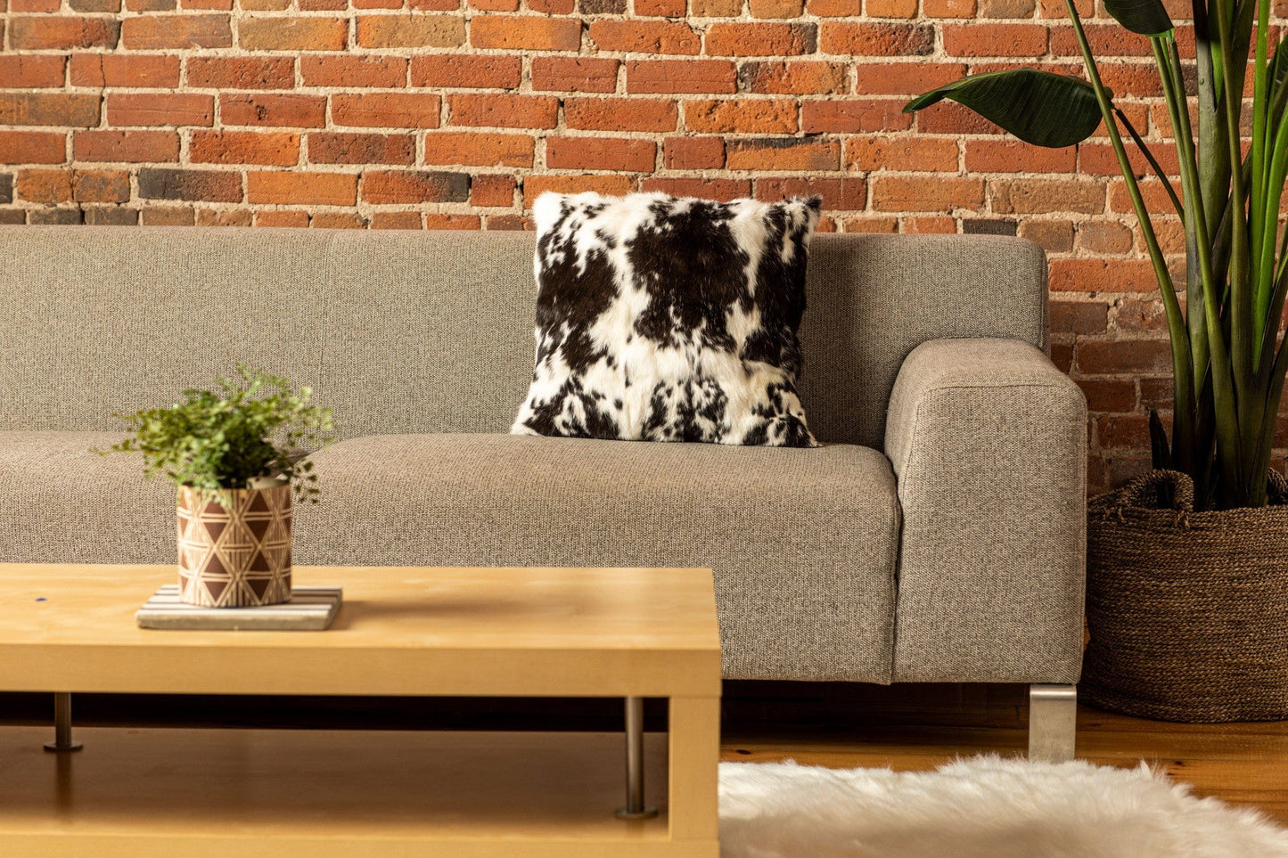 18" X 18" Black And White Rabbit Zippered Natural Fur Animal Print Throw Pillow