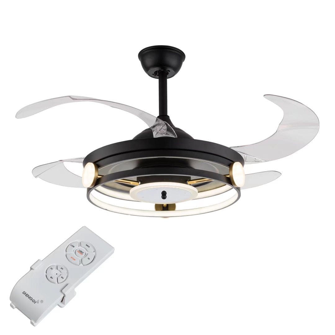 Modern Black Ceiling Lamp With Retractable Fan