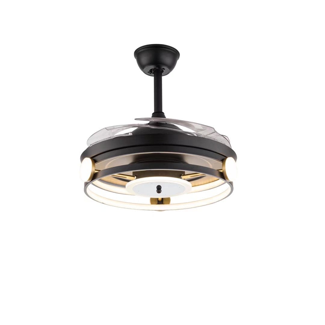Modern Black Ceiling Lamp With Retractable Fan