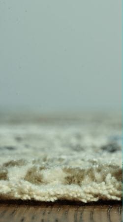 5’ x 8’ Sage Ivory Weathered Vintage Area Rug