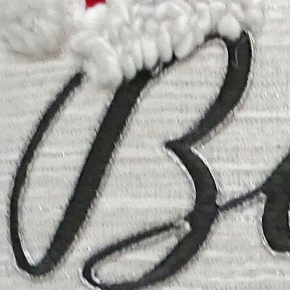 20" X 20" White Cotton Blend Believe Christmas Throw Pillow